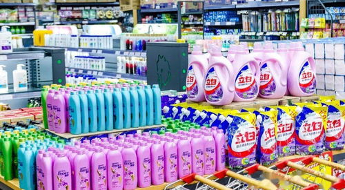 華商新生開學季 校內超市一站式配齊用品，自助收銀免排隊